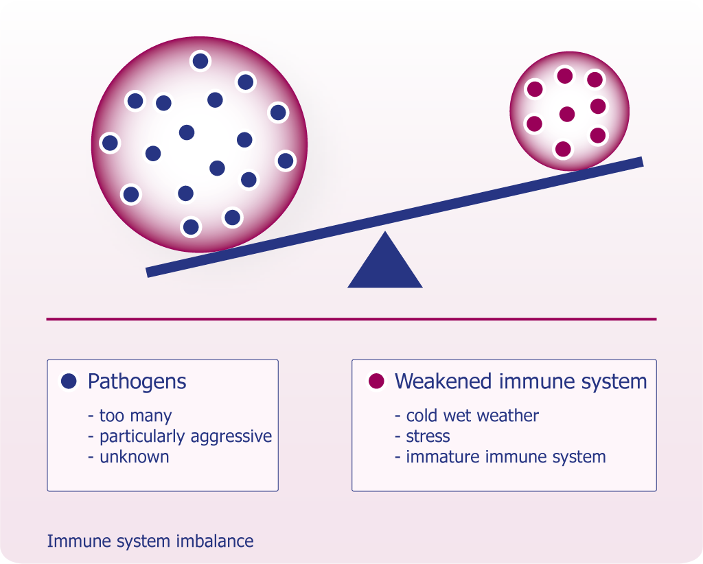 weakened-immune-system